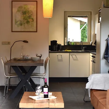 Huinerhofje 2 - Vrijstaand Met Grote Omheinde Tuin, Rust, Privacy En Nabij Bossen Holiday home Putten