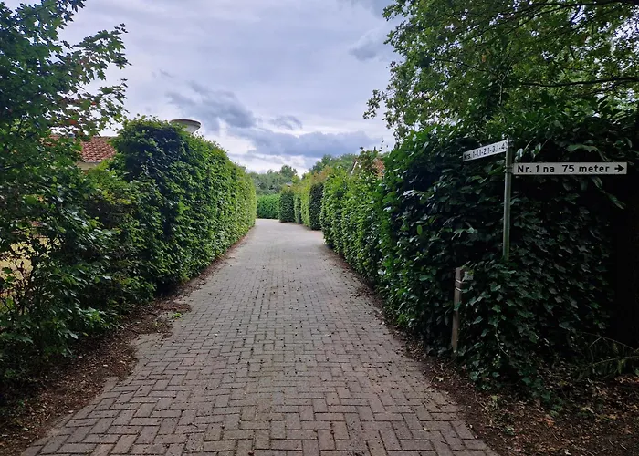 Huinerhofje 2 - Vrijstaand Met Grote Omheinde Tuin, Rust, Privacy En Nabij Bossen * Putten