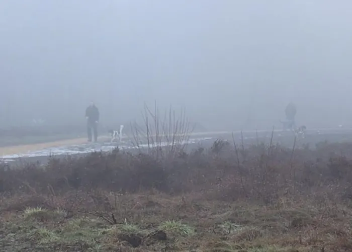 Huinerhofje 2 - Vrijstaand Met Grote Omheinde Tuin, Rust, Privacy En Nabij Bossen Σπίτι διακοπών Putten