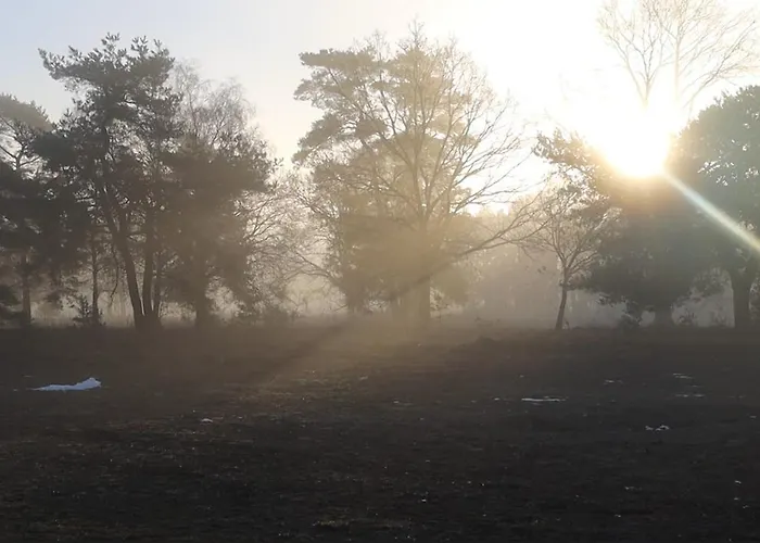 Σπίτι διακοπών Huinerhofje 2 - Vrijstaand Met Grote Omheinde Tuin, Rust, Privacy En Nabij Bossen Putten