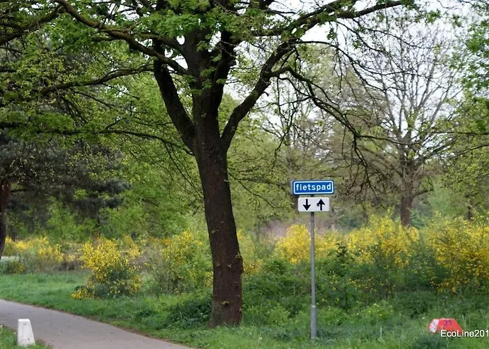 Vakantiehuis Huinerhofje 2 - Vrijstaand Met Grote Omheinde Tuin, Rust, Privacy En Nabij Bossen *
